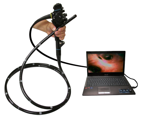 endoscope for small animals