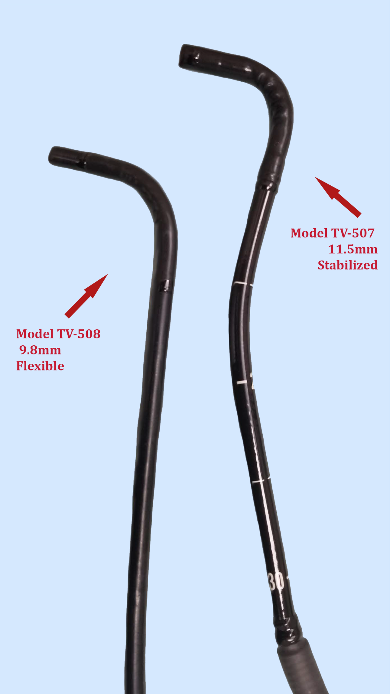 TeleView Dynamic Equine Exercise Endoscope Advanced Monitors Corp