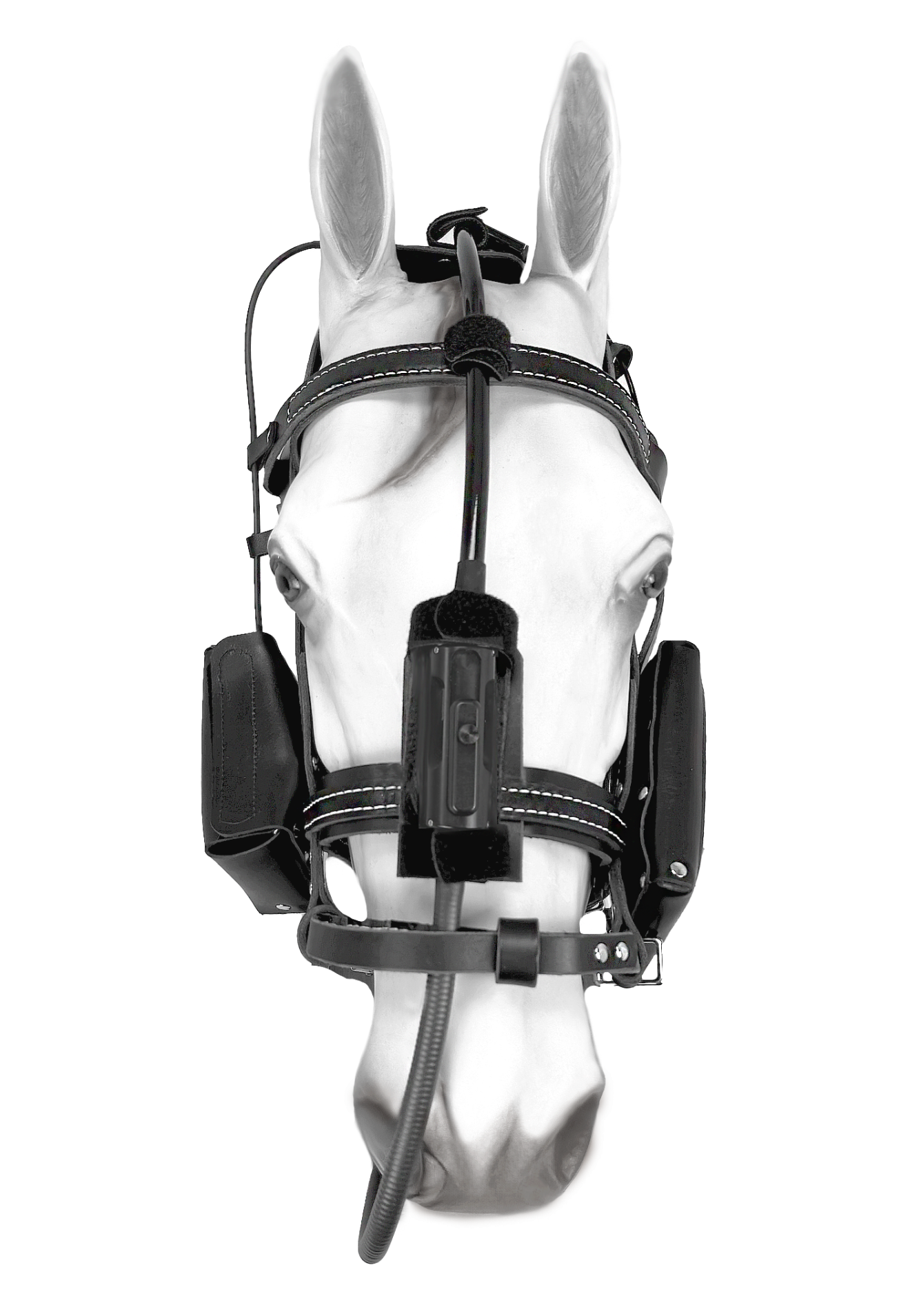 TeleView Dynamic Equine Exercise Endoscope Advanced Monitors Corp