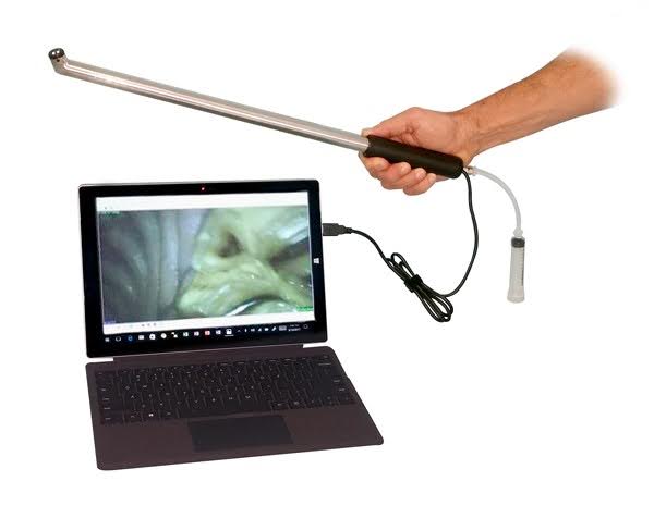 dental camera connected to laptop for use on horses