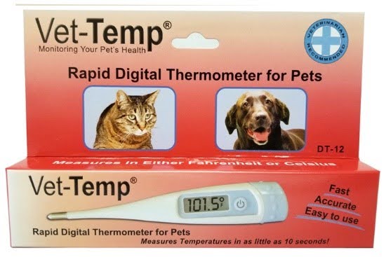 Rapid Digital thermometer for small animal pets