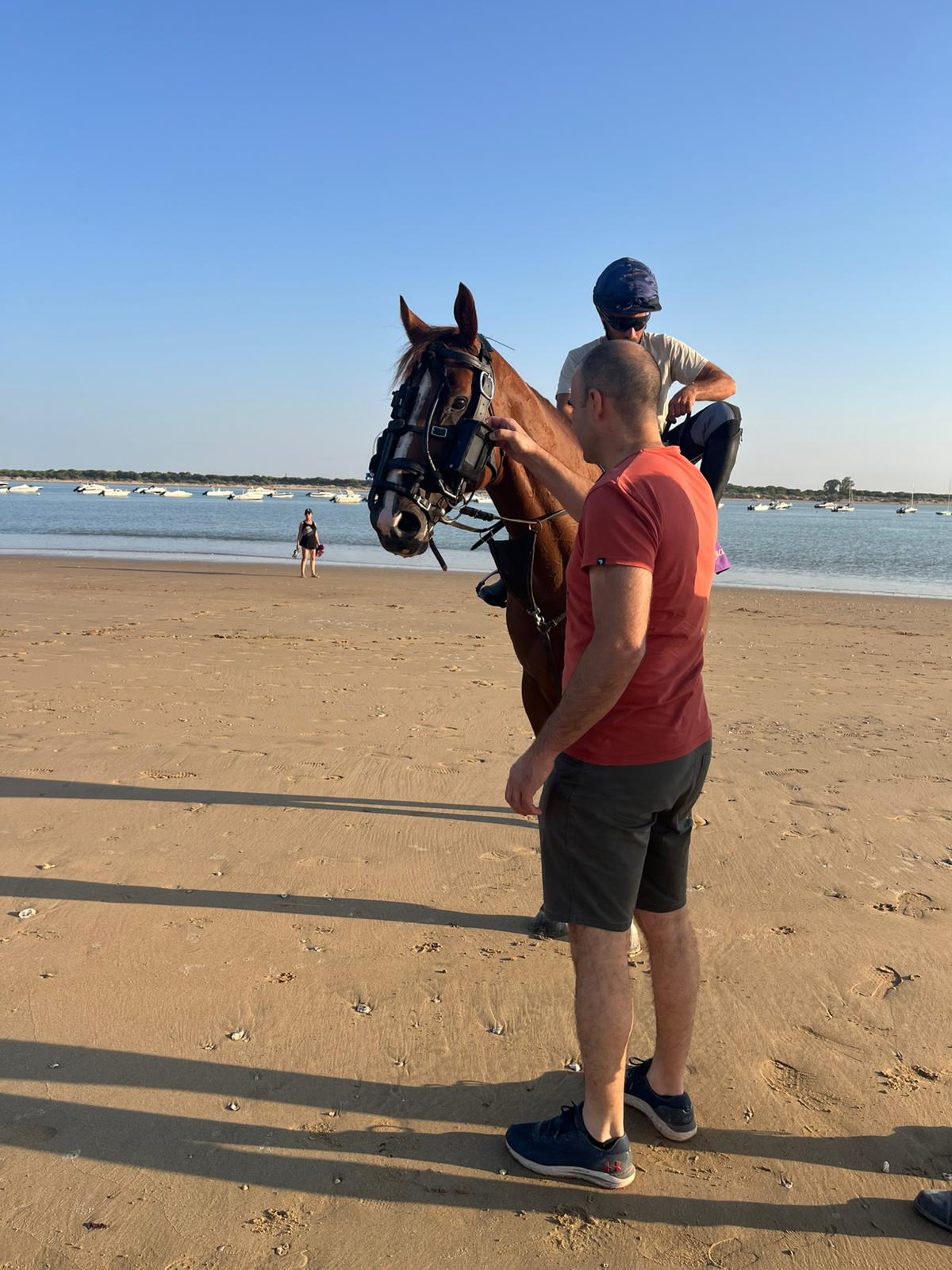 Tele-View Dynamic Equine Exercise Endoscope - Image 7