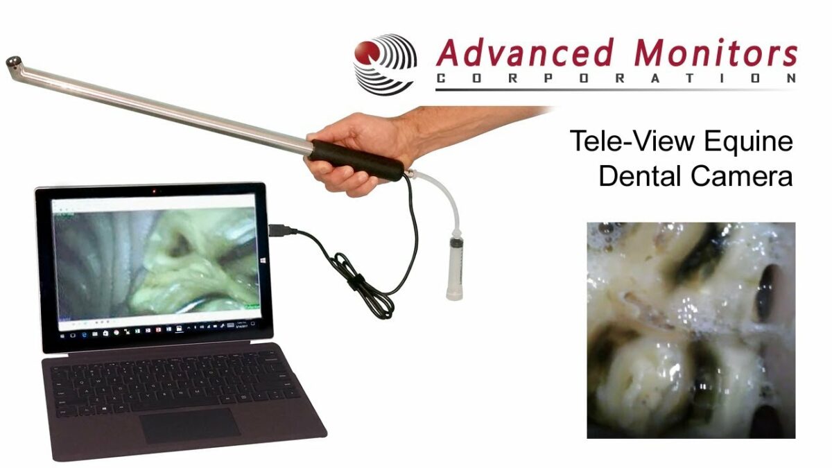 Equine Dental Camera Videos - Advanced Monitors Corporation
